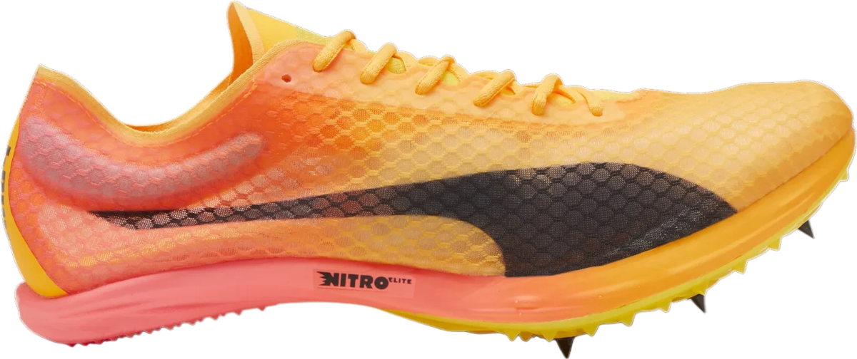 Track schoenen/Spikes Puma evoSPEED Distance NITRO Elite+ 4