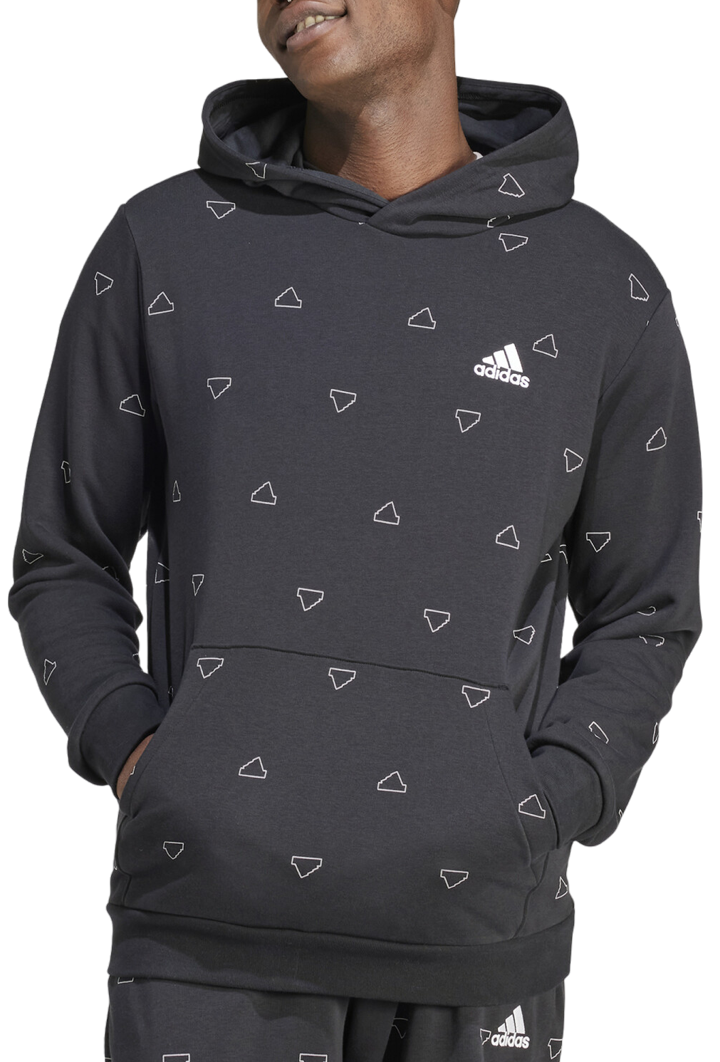 Sweatshirt met capuchon adidas Sportswear Seasonal Essentials Monogram Graphic Hoodie