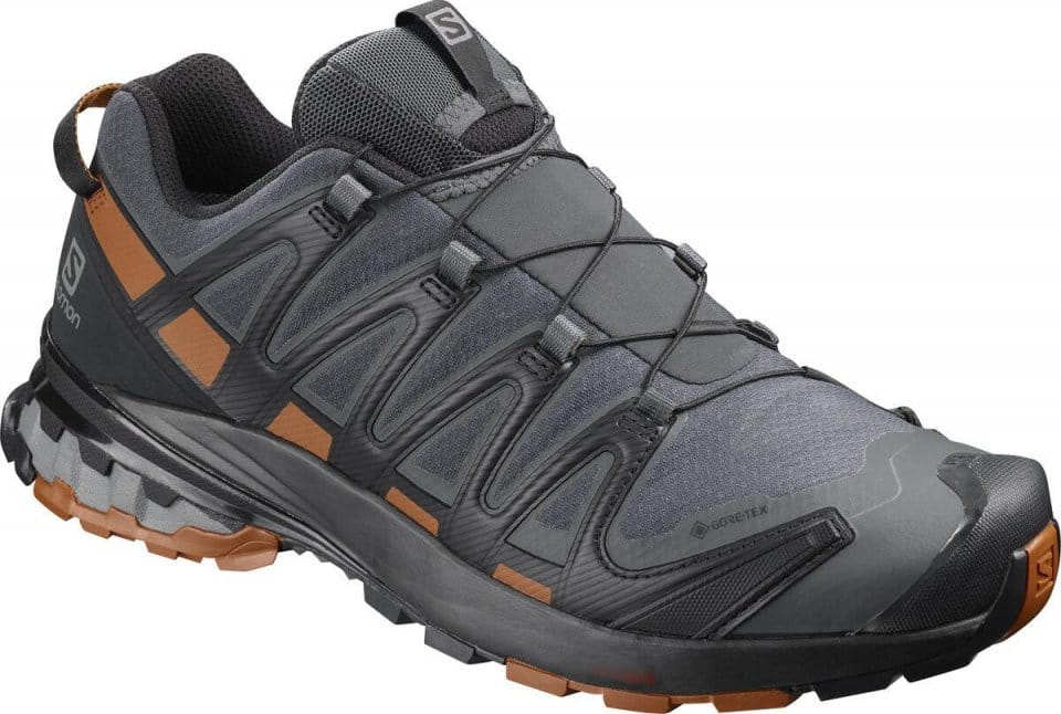 Trail schoenen Salomon XA PRO 3D v8 GTX