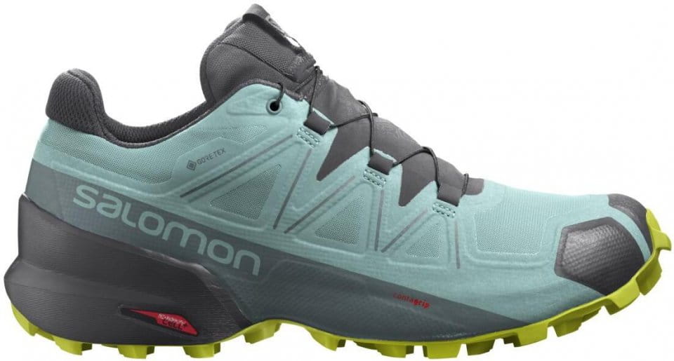 Trail schoenen Salomon SPEEDCROSS 5 GTX W